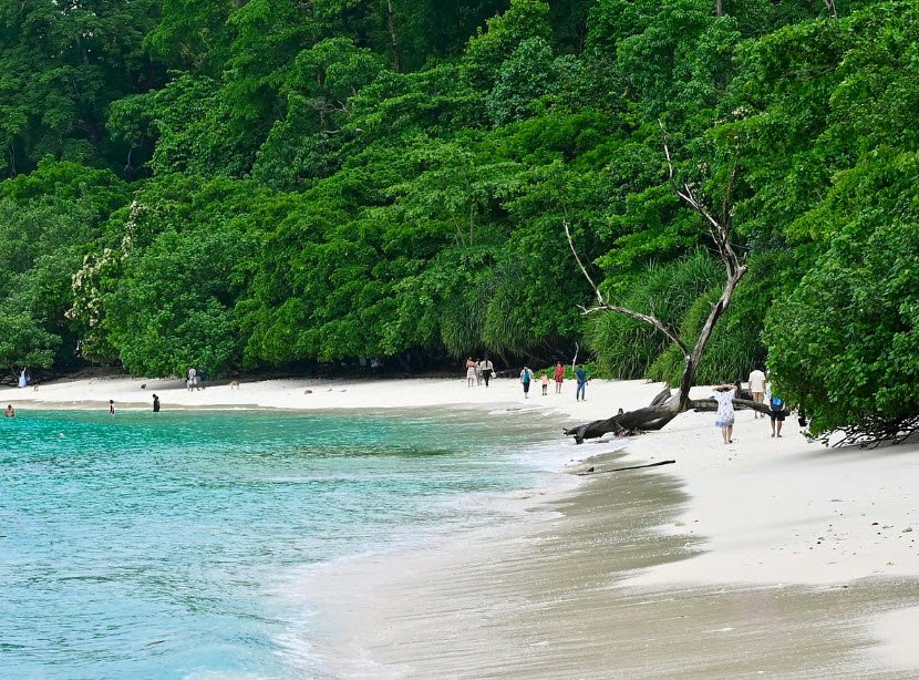 Dot Island Wildlife Sanctuary, South Andaman, Andaman and Nicobar Islands - Vushii.com Dot Island Wildlife Sanctuary, South Andaman, Andaman and Nicobar Islands - Vushii.com
